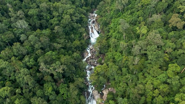 Panneau solaire photovoltaïque : le choix d'un avenir durable