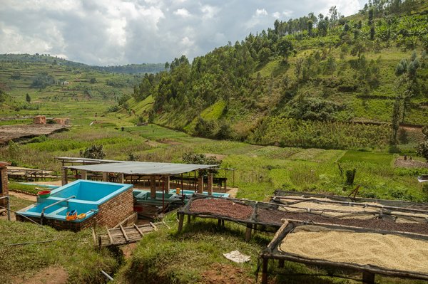 Comment créer un programme efficace de réutilisation des eaux usées pour l'irrigation des espaces verts en milieu urbain ?